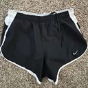 Nike Dri-Fit Shorts Photo 0