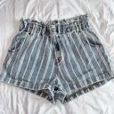 PacSun Shorts Photo 0