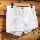 J Brand  Cut Off Distressed Vixen Shorts Photo 2