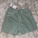 ZARA Nwt  dad shorts Photo 0