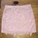 American Eagle  AE LIGHT PINK CROCHET LACE FLORAL SHORT MINI SKIRT size 8 Photo 2