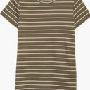 Vince Essential Stripe Pima Cotton Crewneck Tee  Eden/ Off White L Photo 0