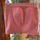 prAna pink stretchy Denim skirt Photo 6