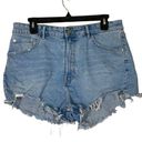 ZARA  Denim Jean High Waisted Shorts Photo 0