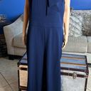 Harper  ROSE Scarf Neck Crepe Jumpsuit Photo 5