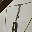 Jones New York  Rhinestone Pendant Gold Tone Chain Necklace Adjustable Length NWT Photo 4