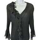 Petal JAIPUR Womens SZ L Sheer Autumn  Scrunch Long Sleeve Pleated Blouse Black Photo 0