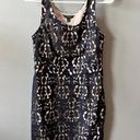 Banana Republic Navy Blue Lace Dress Photo 0