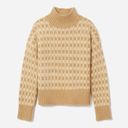 Everlane The Cloud Checkered Turtle-Neck Sweater Photo 0