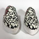 Coach  Floral Animal Print Sneaker C103 Limited Edition, 6.5, Loafers Mob Wife Photo 8