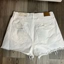 American Eagle Curvy ‘90s Boyfriend Short Photo 1