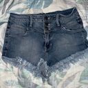 Hidden Jeans Jean Shorts Photo 0