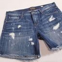 Dahlia Cult of Individuality Distressed  Short Photo 0