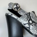 JustFab  Dion Black & White Snake Print Sling Back Block Heeled Mules Size 8.5 Photo 6