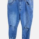 One Teaspoon One x  High Waist Freebird Distressed Jeans Zip Ankle Size 28 Photo 0