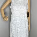 Ronni Nicole NWT  Sleeveless Off White Lace Dress Size Medium Photo 0