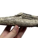 Isaac Mizrahi Live! Alicia Snake Embossed Mule Slide Loafer Womens Size 11M Photo 7