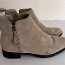 Caslon  ankle booties size 7 Photo 0