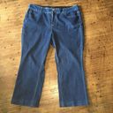 Lane Bryant  24R straight leg dark wash jeans Photo 0