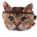 Fanny Pack Cat Photo 1