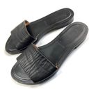 Everlane  | The Slide Sandal Black Flat Photo 0