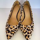 ZARA  Kitten Heel Fall Trend Leopard Print Shoes Photo 2