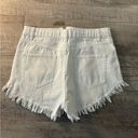 Wild Fable  white Jean shorts Photo 3