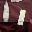 Francesca's Francesca’s Miami Burgundy velvet babydoll dress  Photo 2