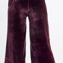 Madewell NWT  Velvet Huston Pull-On Wide Leg Crop Pants Sz L Photo 1