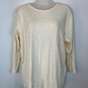 Quacker Factory NWOT  Lightweight Shiny Accent Sweater Size Large Photo 0