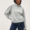 Everlane  The French Terry Hoodie Uniform Sweatshirt Gray Unisex Photo 0