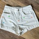 PacSun Mom Shorts Photo 0