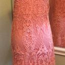 Acemi Lace Peach Dress SZ L Photo 2