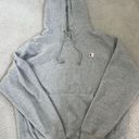 Champion Gray Hoodie Photo 0