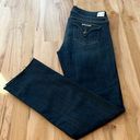 Hudson Jeans Hudson Ginny Straight Jeans - size 28 Photo 0