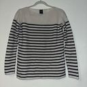 Gap Merino Wool Blend Navy Striped Sweater Photo 1