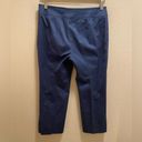 Akris Punto  Blue Cropped Pleated Hem Pants Size 6 Photo 5