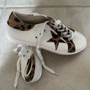 Ccocci Leopard Star Sneakers Photo 0