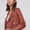 All Saints Balfern Belted Hem Leather Biker Jacket in Rosewood, in size 8 Photo 2