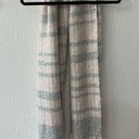 American Eagle NWT  Outfitters Soft Scarf Photo 0