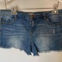 Bongo  Distressed Denim Short Photo 0