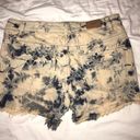 Urban Outfitters BDG Shorts Photo 1