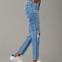 American Eagle Strigid Ripped Mom Jean Photo 1