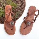 Brighton  Womens Sandals Apollo Brown Leather Silver Embellished Size 10 Photo 0