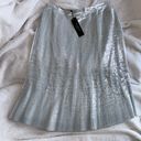 Talbots Silver Pleated Midi Skirt Photo 1