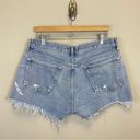 AGOLDE  Parker Vintage Cutoff Shorts in Swapmeet Size 31 Photo 5