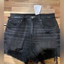 American Eagle NWT  Stretch Highest Rise 90’s Boyfriend Shorts Size 2 Photo 3