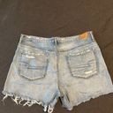 American Eagle Outfitters Shorts Photo 1