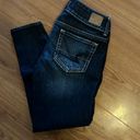 American Eagle Artist Cropped Jeans Size 2 Photo 1