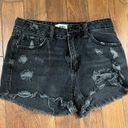 Just Black Denim JBD Jean Shorts Photo 0